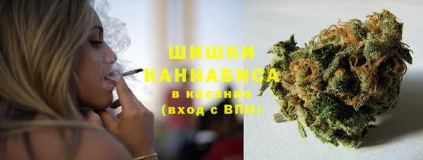 Альфа ПВП Горнозаводск