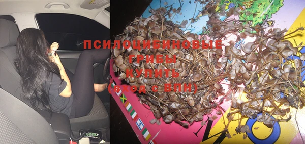 apvp Вяземский