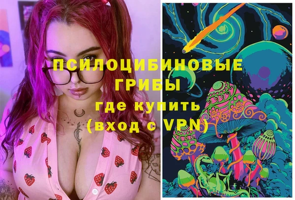альфа пвп Горно-Алтайск